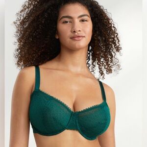 NWT Bare Necessities Push Up Without Padding in Size 36DDD